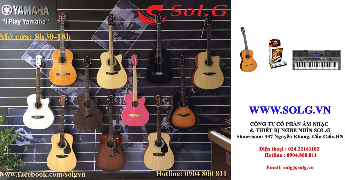 Giới thiệu về Solg.vn- nhà nhập khẩu trực tiếp đàn guitar, đàn piano, kèn harmonica 